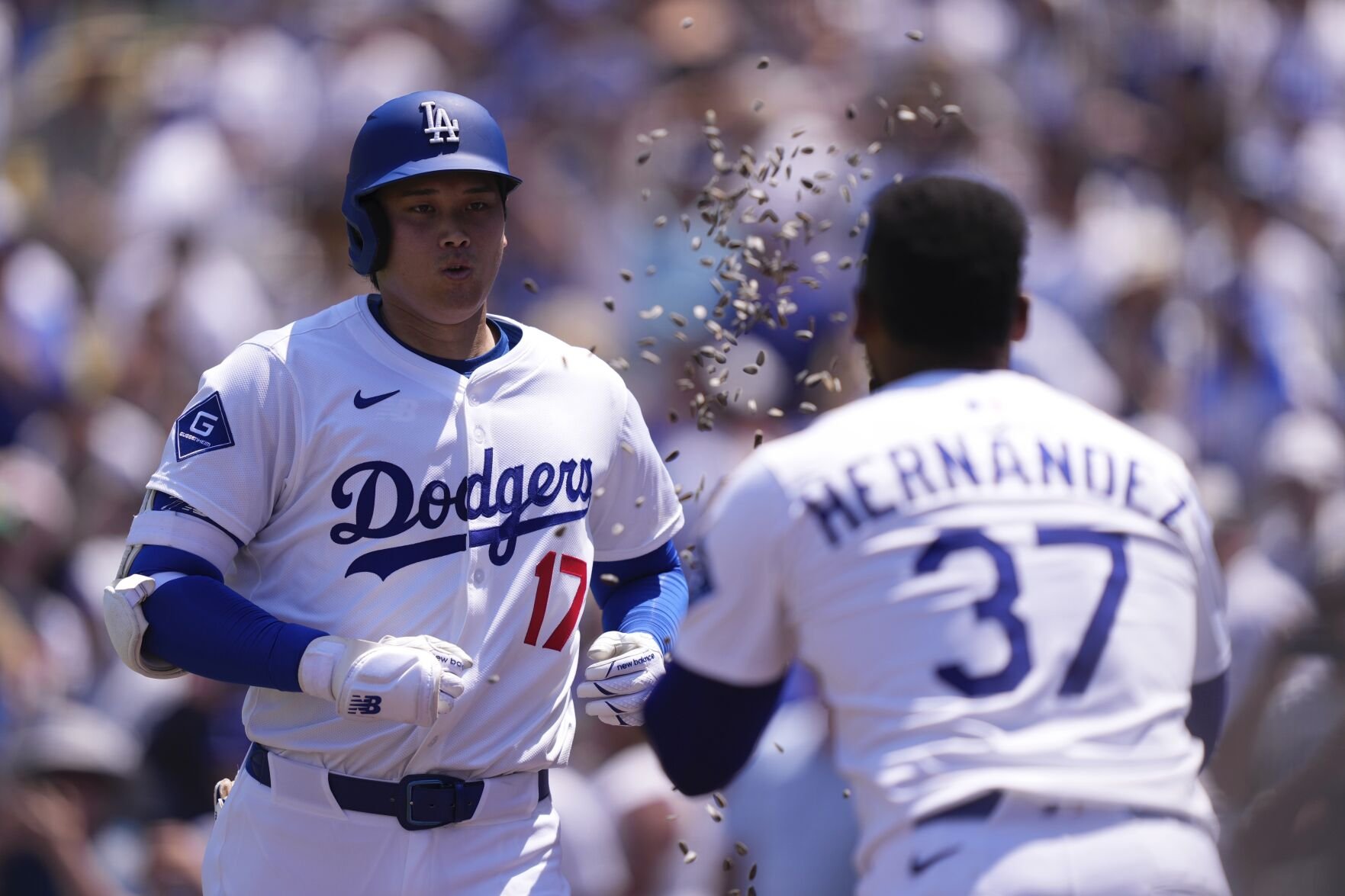 Cardinals Dodgers Baseball